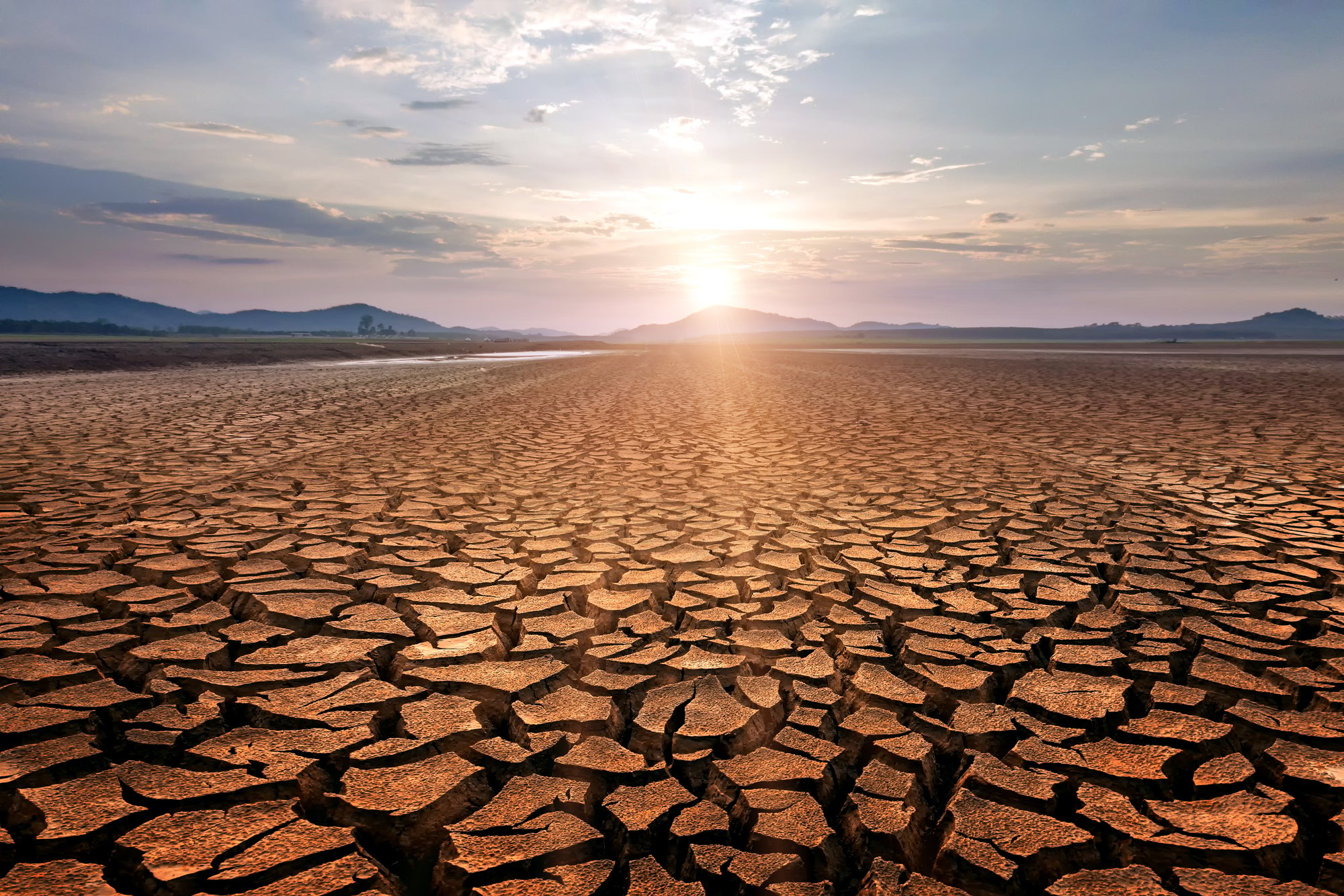 Shutterstock Dry Earth