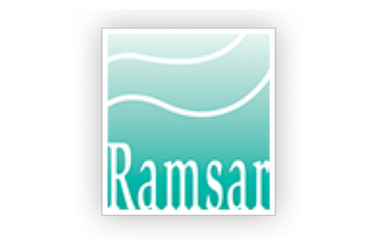 Ramsar Logo with borde v2